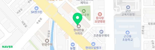 현대한솔아파트 지도 이미지