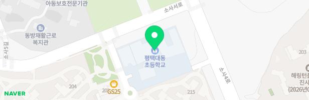 평택대동초등학교 병설유치원 내 어린이놀이시설 지도 이미지