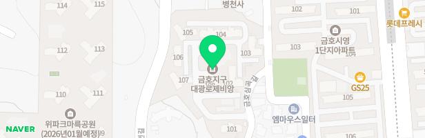 금호지구 대광로제비앙 유아놀이터 지도 이미지