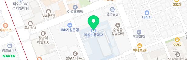 역삼초 실외놀이터 지도 이미지
