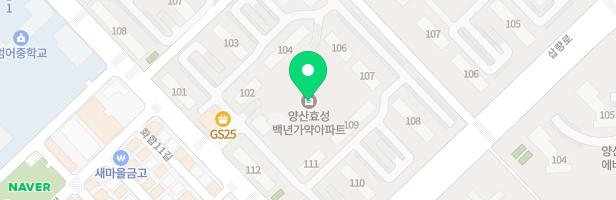 효성백년가약아파트 105동앞 놀이시설 지도 이미지