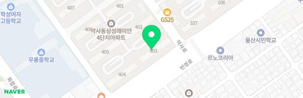 삼성래미안2차 403동앞 놀이터 지도 이미지
