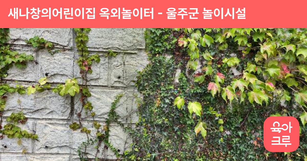 새나창의어린이집 옥외놀이터 썸네일