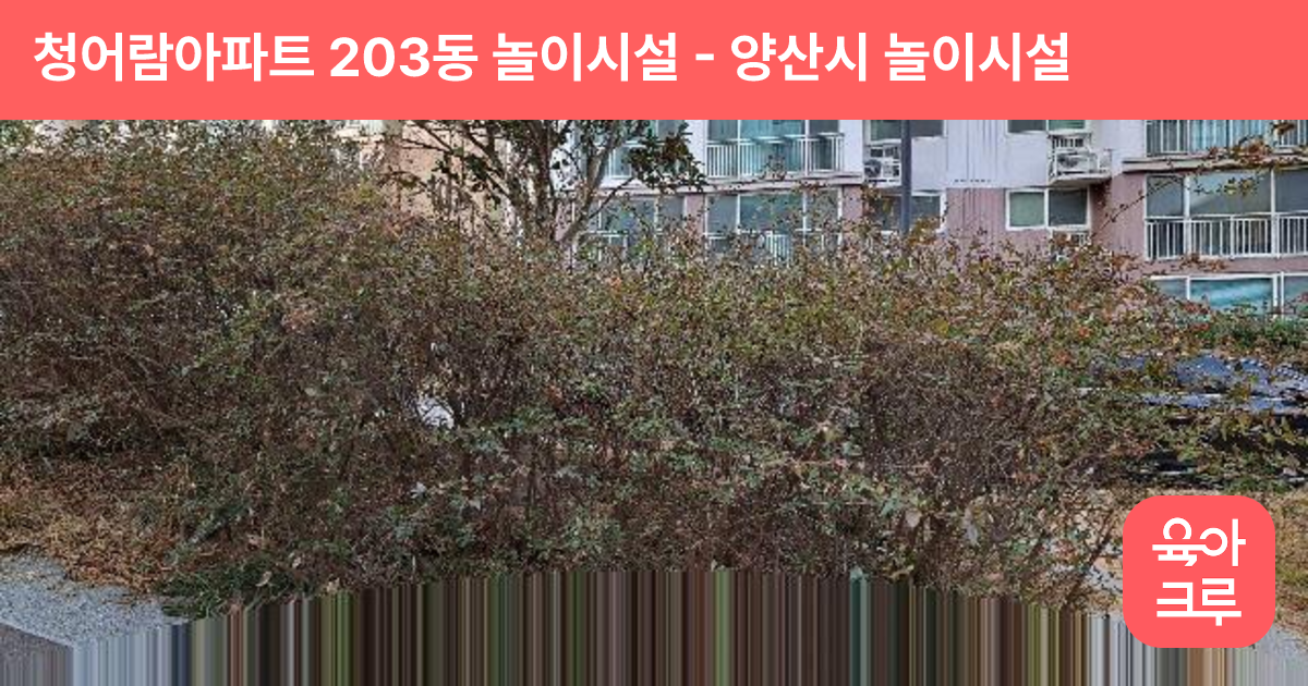 청어람아파트 203동 놀이시설 썸네일