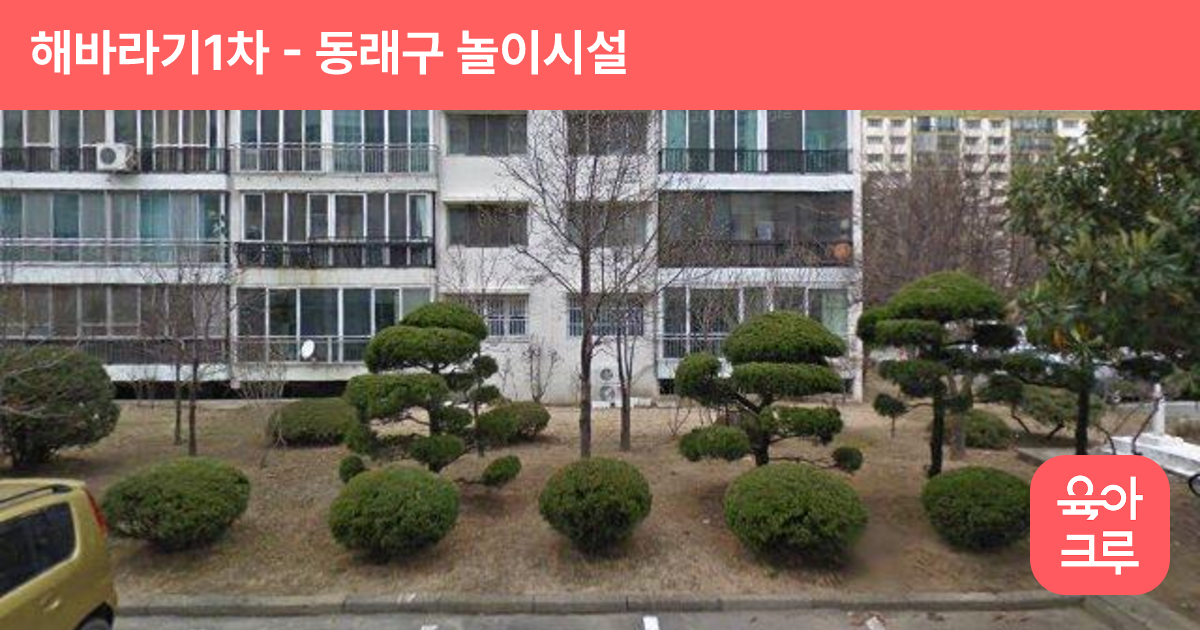 해바라기1차 썸네일
