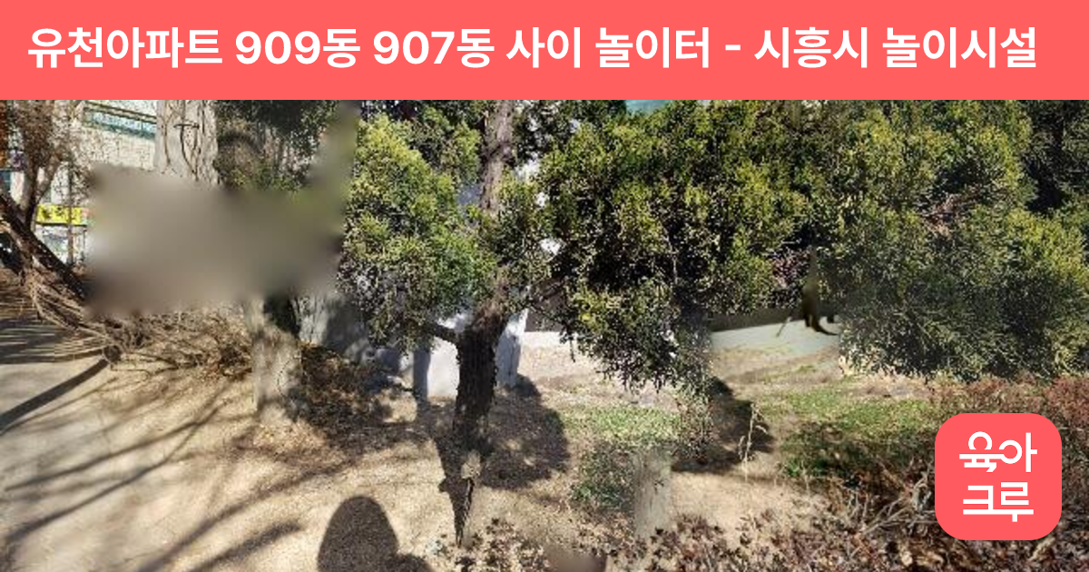 유천아파트 909동 907동 사이 놀이터 썸네일