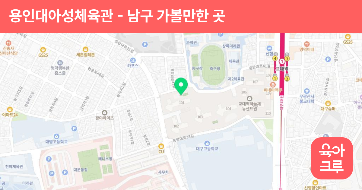 용인대아성체육관 썸네일
