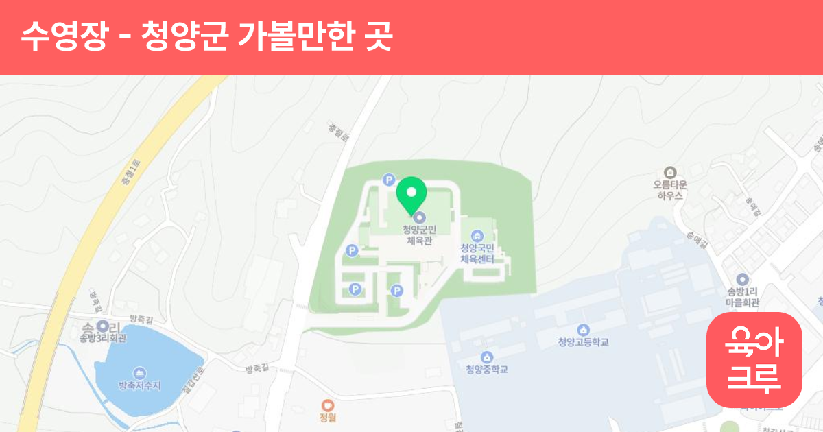 수영장 썸네일