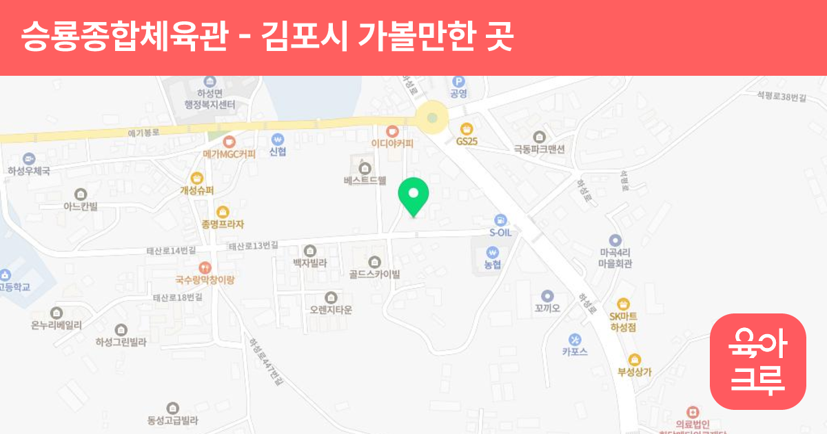 승룡종합체육관 썸네일