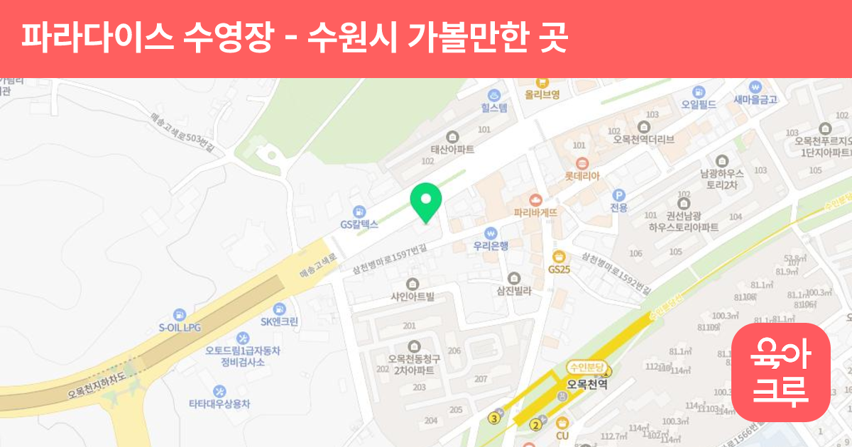 파라다이스 수영장 썸네일
