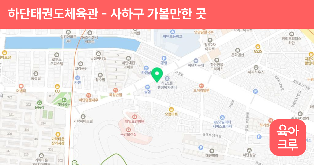 하단태권도체육관 썸네일