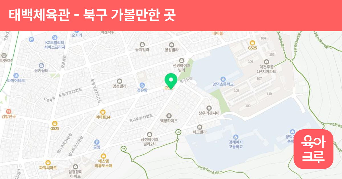 태백체육관 썸네일