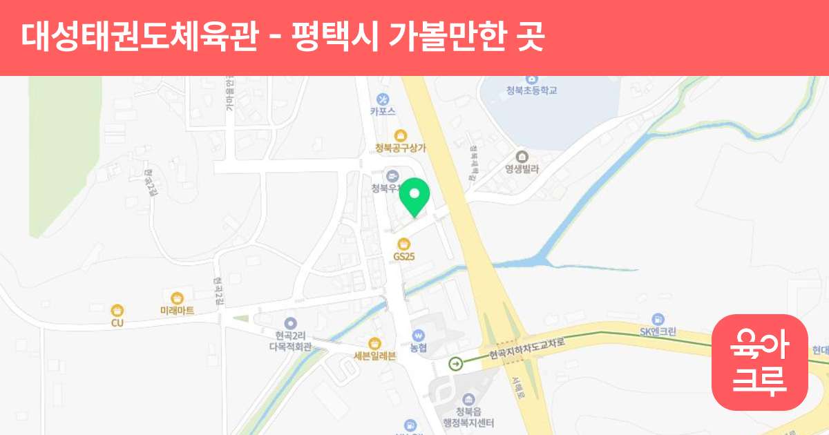 대성태권도체육관 썸네일