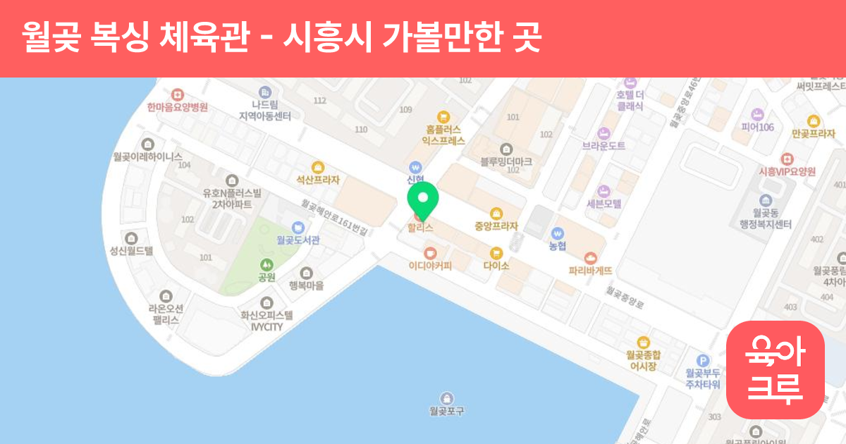 월곶 복싱 체육관 썸네일