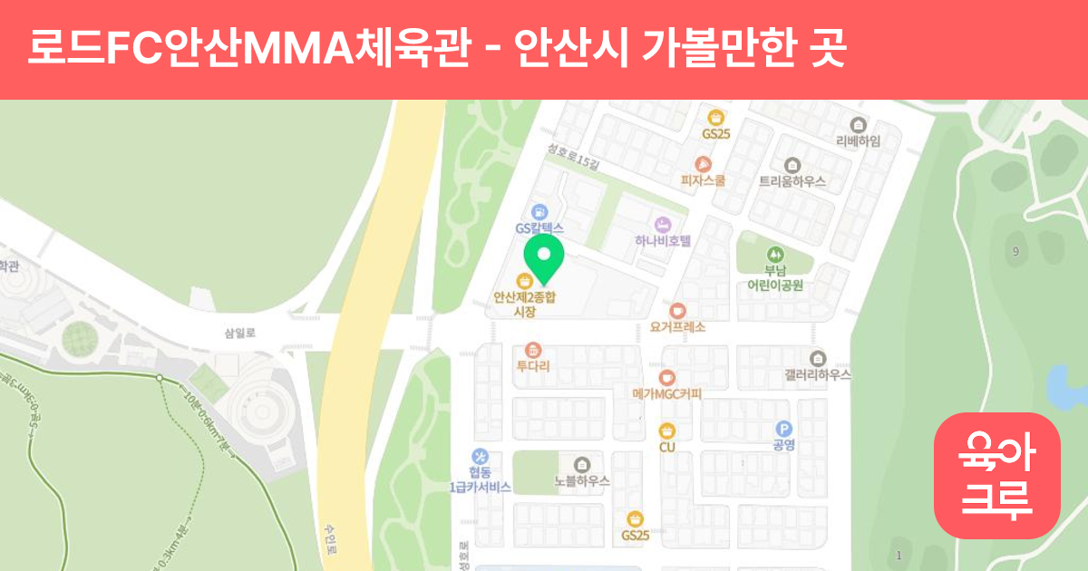 로드FC안산MMA체육관 썸네일