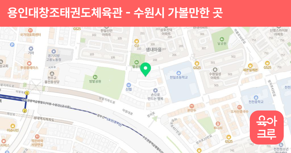 용인대창조태권도체육관 썸네일