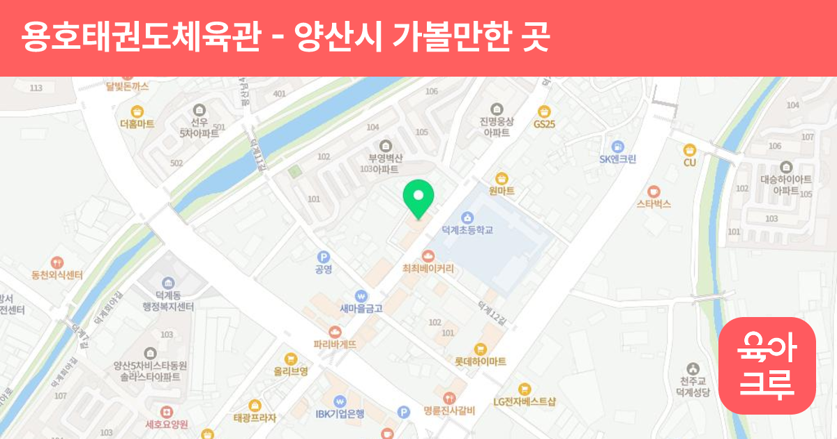 용호태권도체육관 썸네일