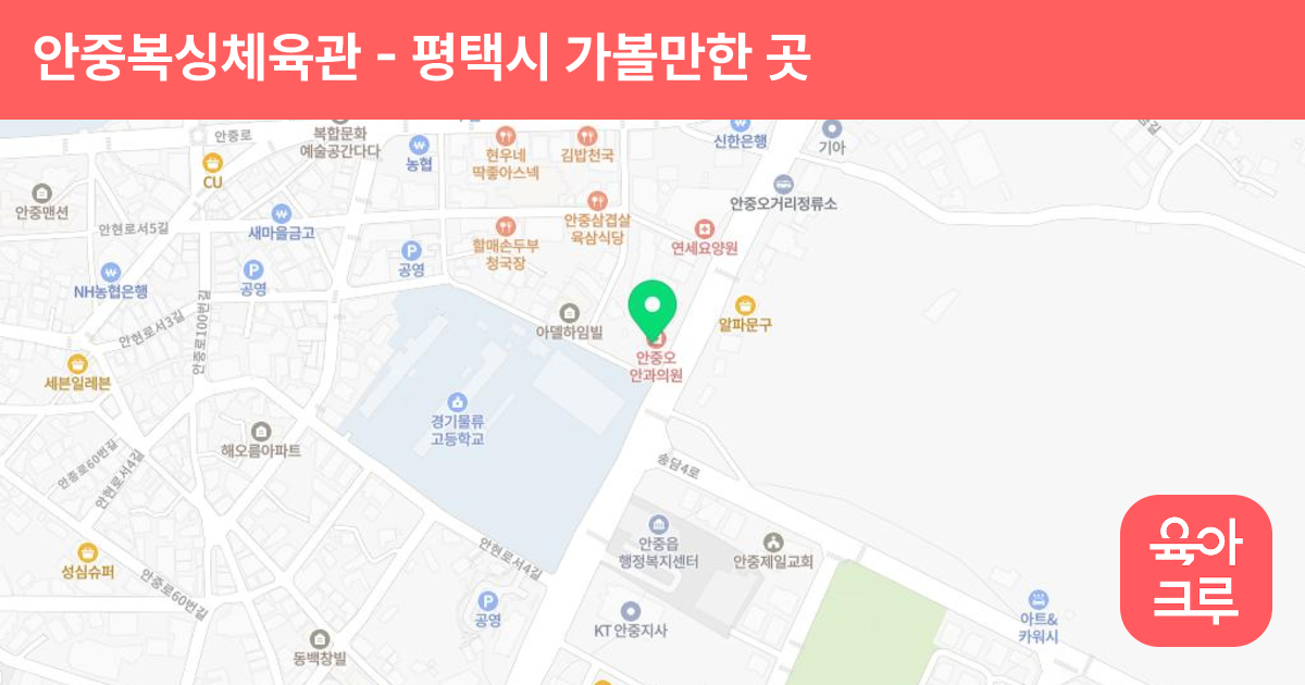 안중복싱체육관 썸네일