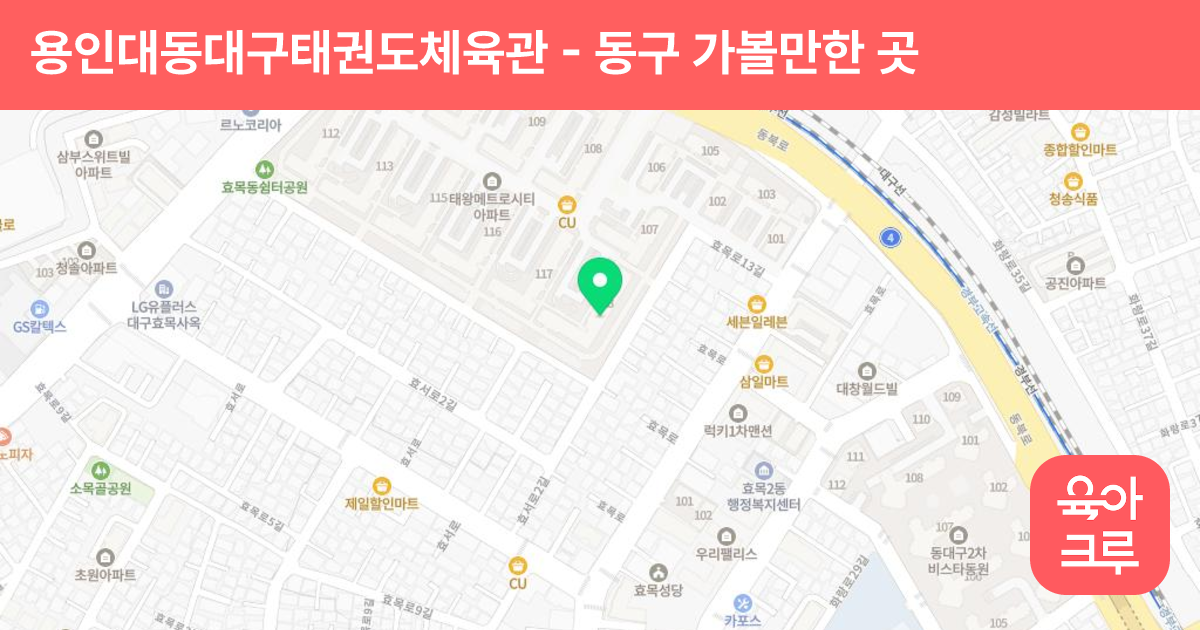 용인대동대구태권도체육관 썸네일