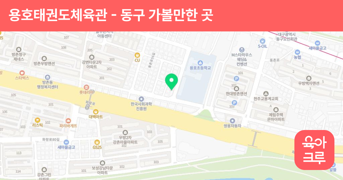 용호태권도체육관 썸네일