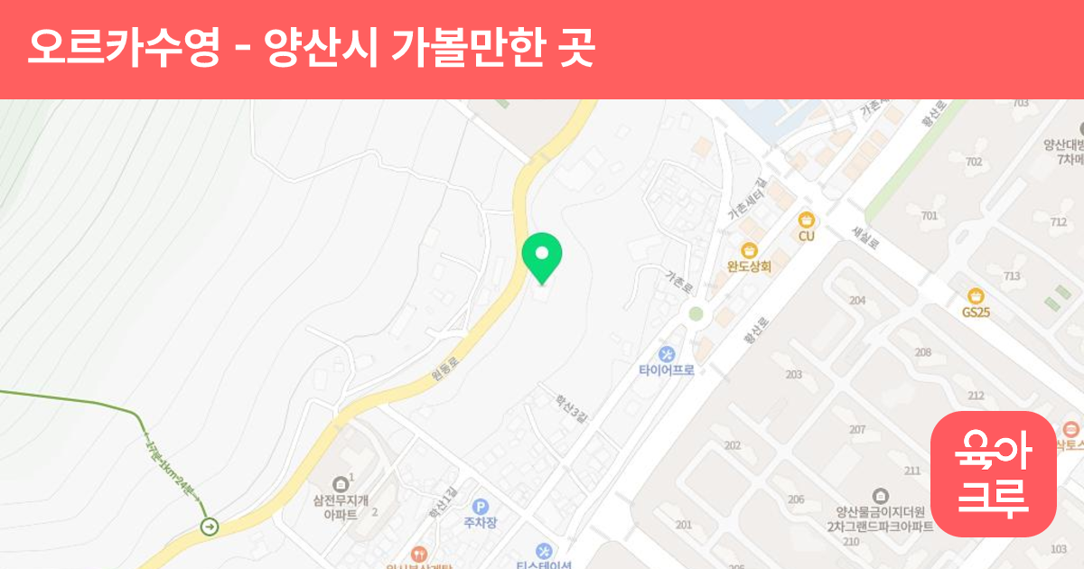 오르카수영 썸네일