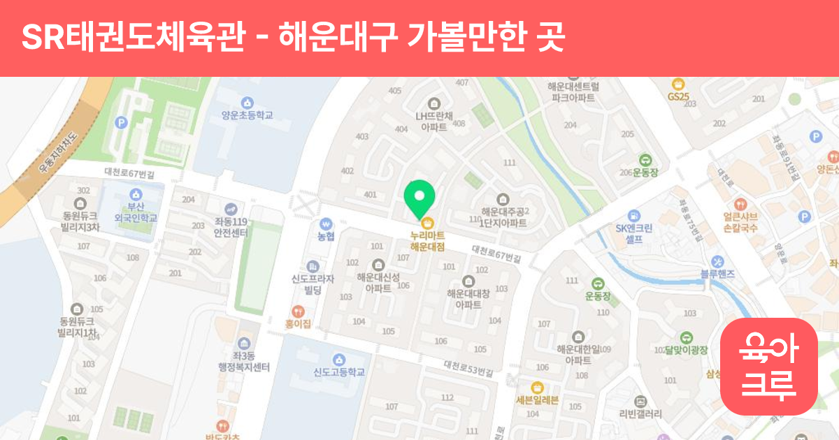 SR태권도체육관 썸네일