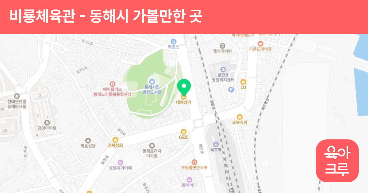 비룡체육관 썸네일