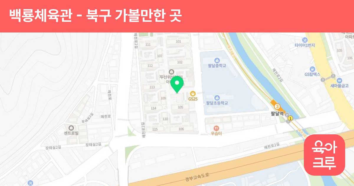 백룡체육관 썸네일
