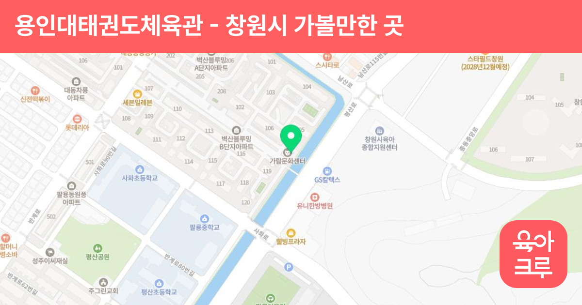 용인대태권도체육관 썸네일