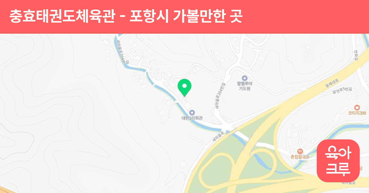 충효태권도체육관 썸네일