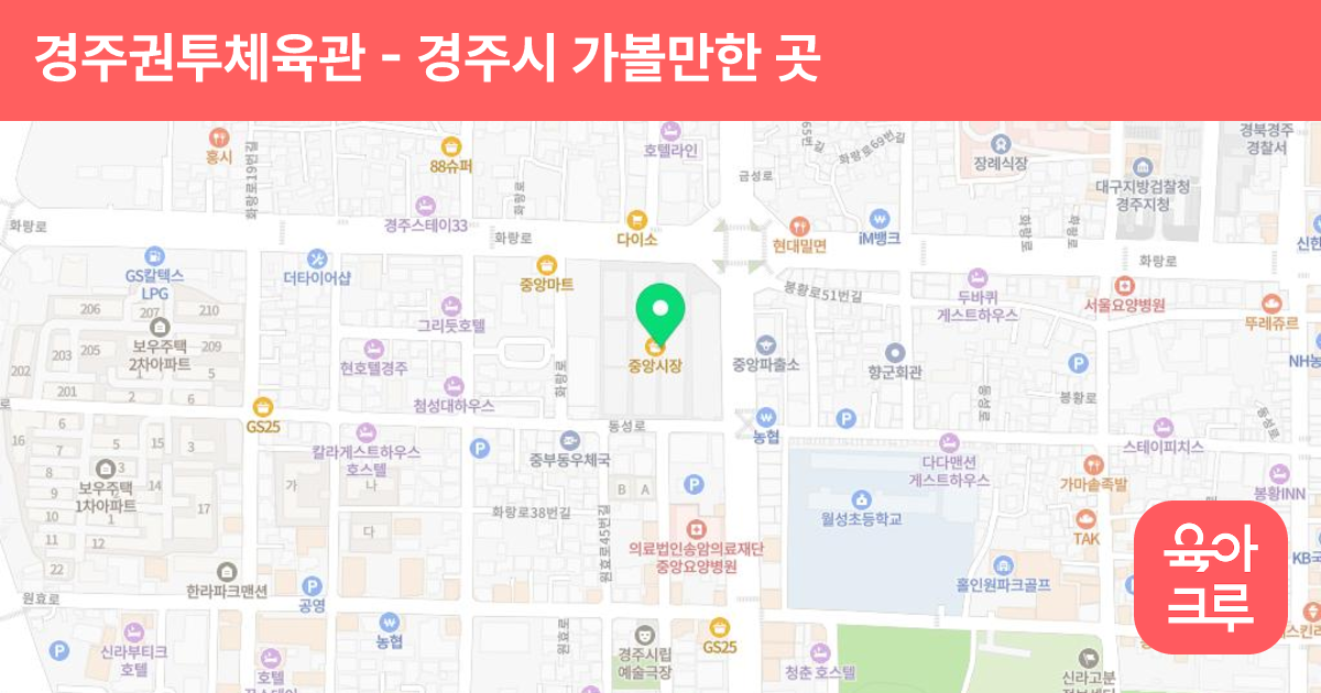 경주권투체육관 썸네일