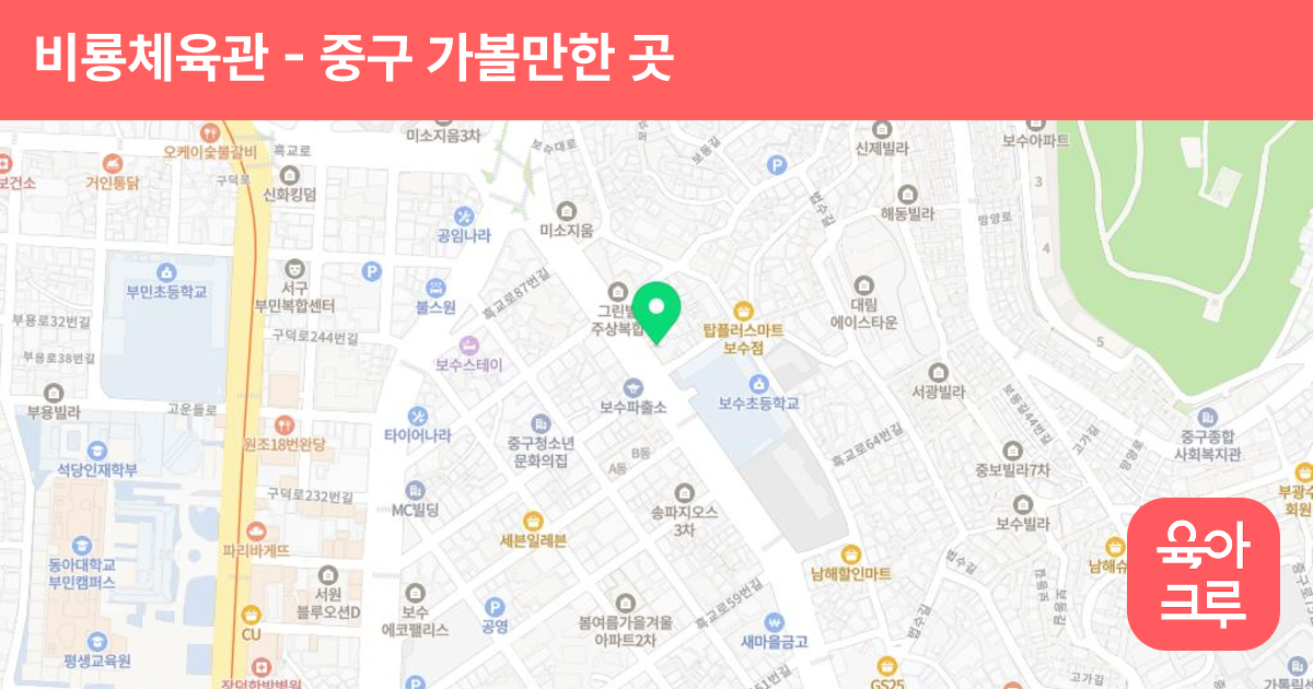 비룡체육관 썸네일