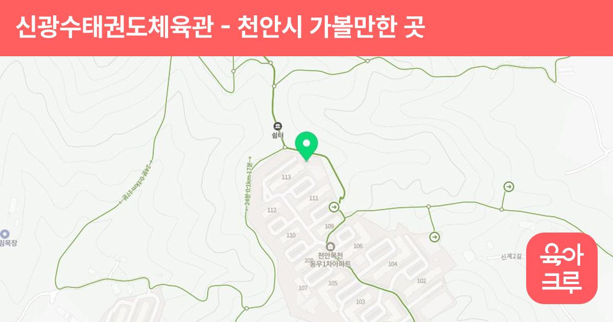 신광수태권도체육관 썸네일