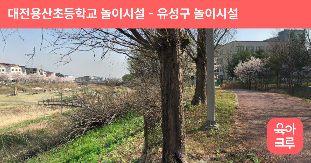 대전용산초등학교 놀이시설 썸네일