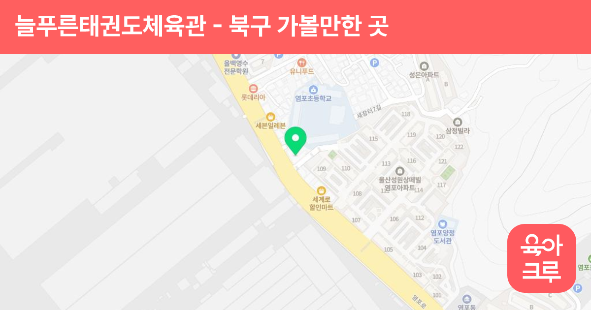 늘푸른태권도체육관 썸네일