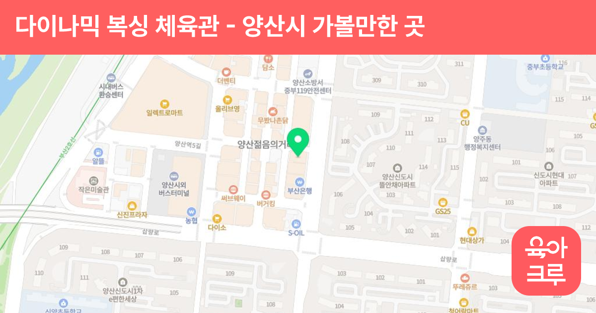 다이나믹 복싱 체육관 썸네일