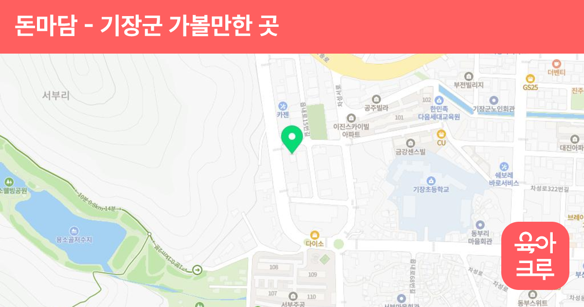 돈마담 썸네일