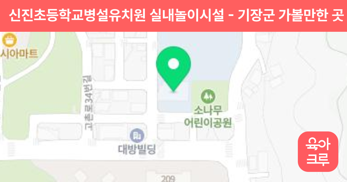 신진초등학교병설유치원 실내놀이시설 썸네일