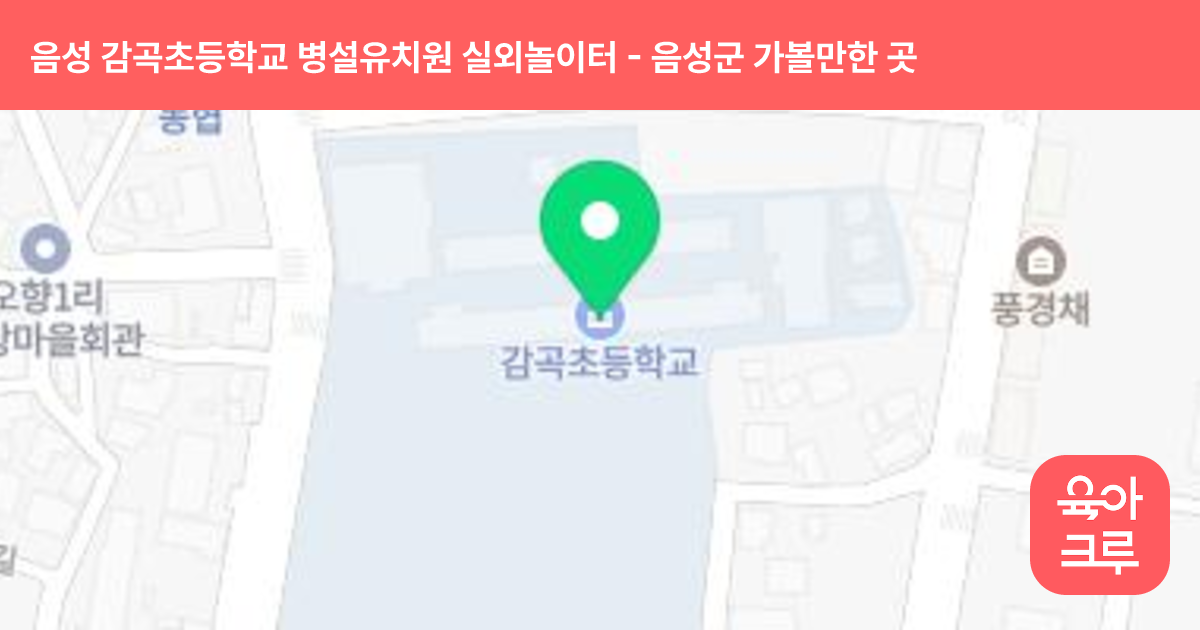 음성 감곡초등학교 병설유치원 실외놀이터 썸네일