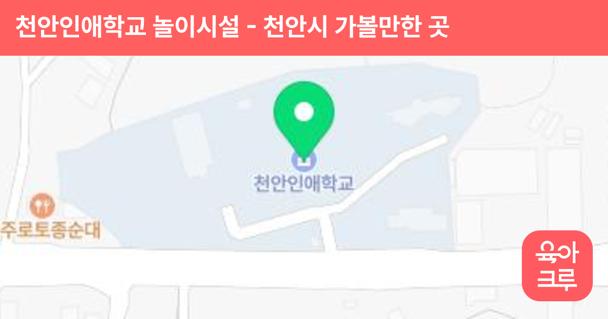 천안인애학교 놀이시설 썸네일