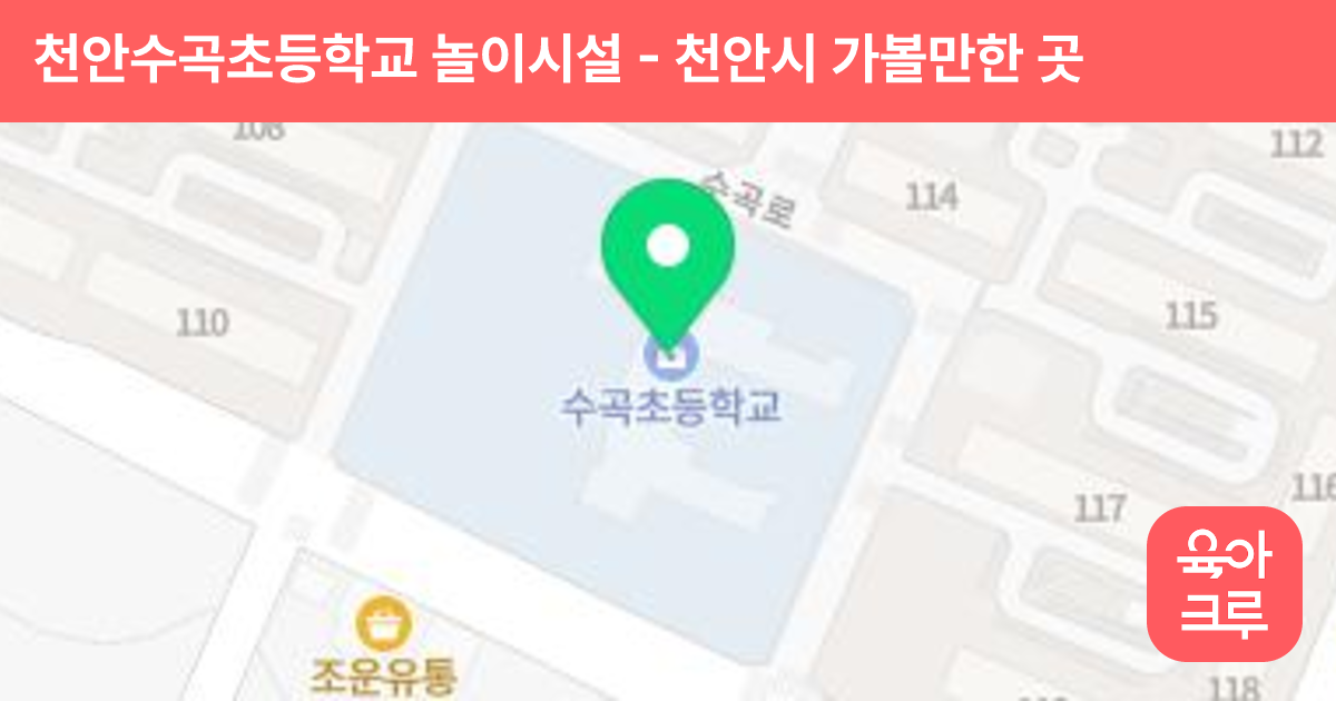 천안수곡초등학교 놀이시설 썸네일