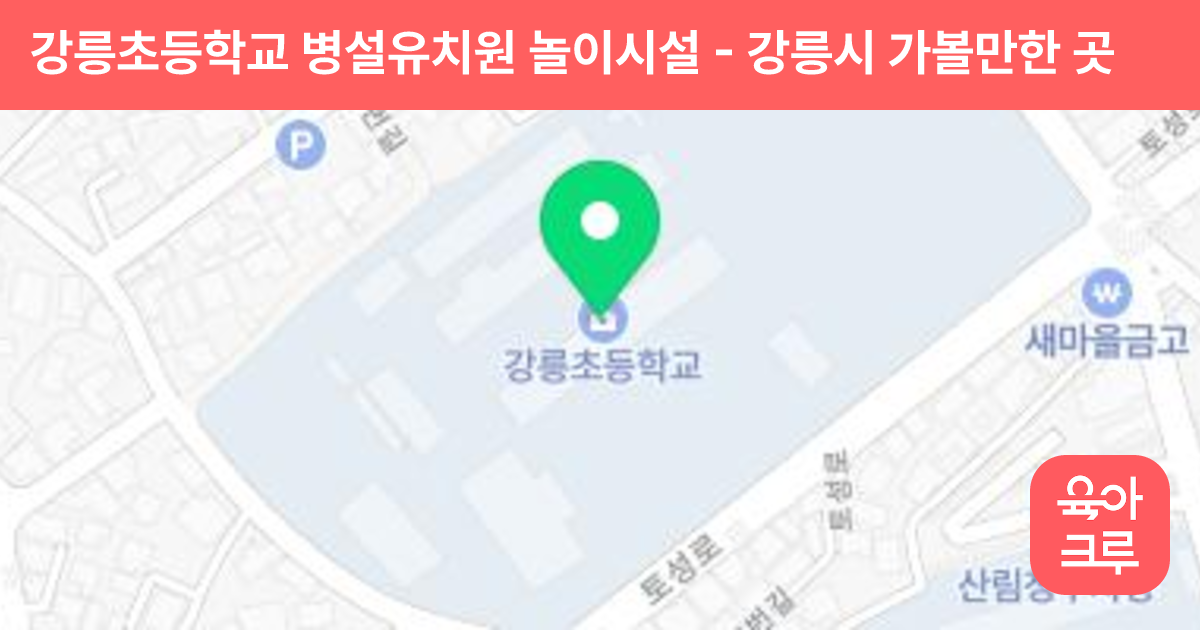 강릉초등학교 병설유치원 놀이시설 썸네일