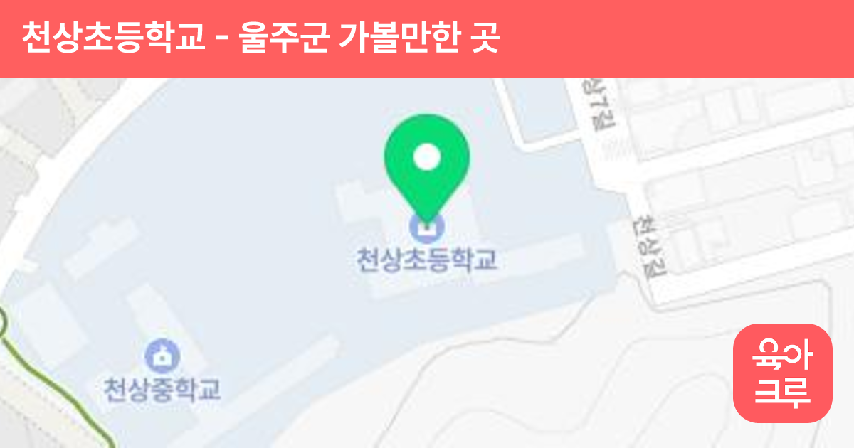 천상초등학교 썸네일