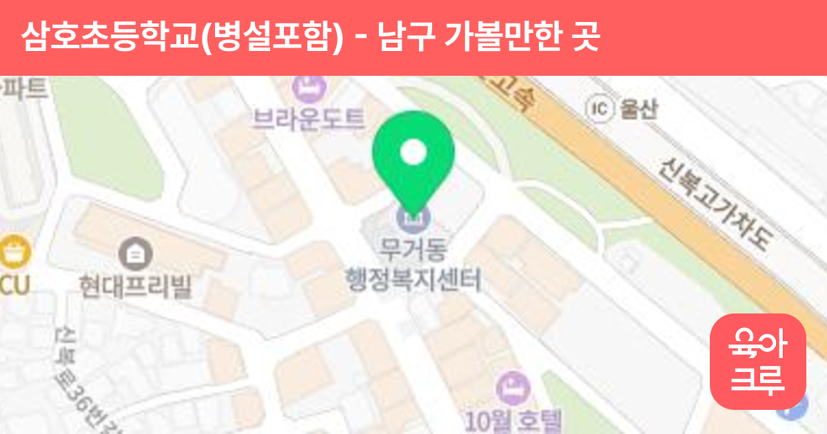 삼호초등학교(병설포함) 썸네일