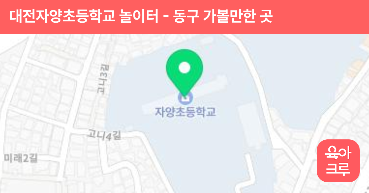 대전자양초등학교 놀이터 썸네일