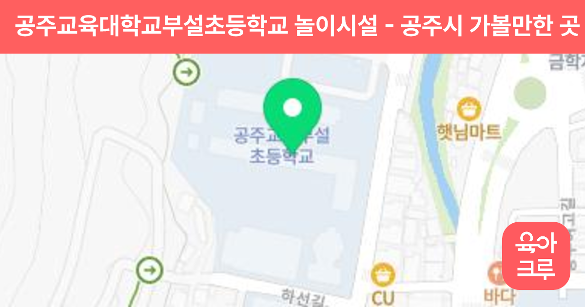공주교육대학교부설초등학교 놀이시설 썸네일