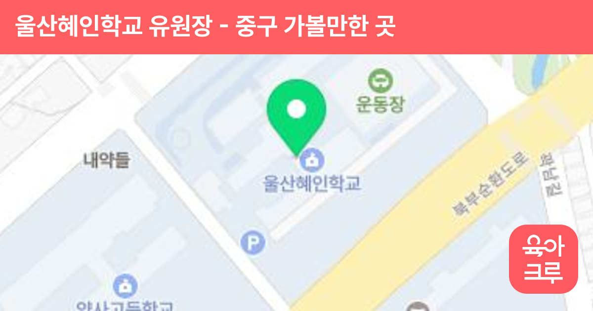 울산혜인학교 유원장 썸네일