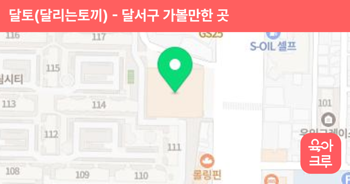 달토(달리는토끼) 썸네일