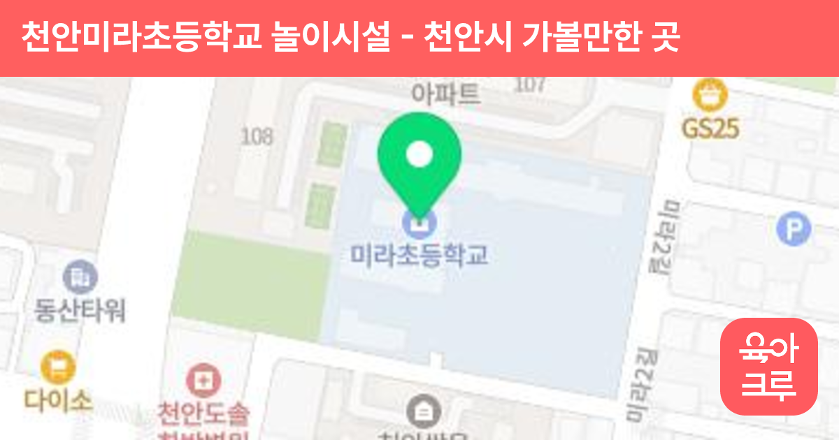 천안미라초등학교 놀이시설 썸네일