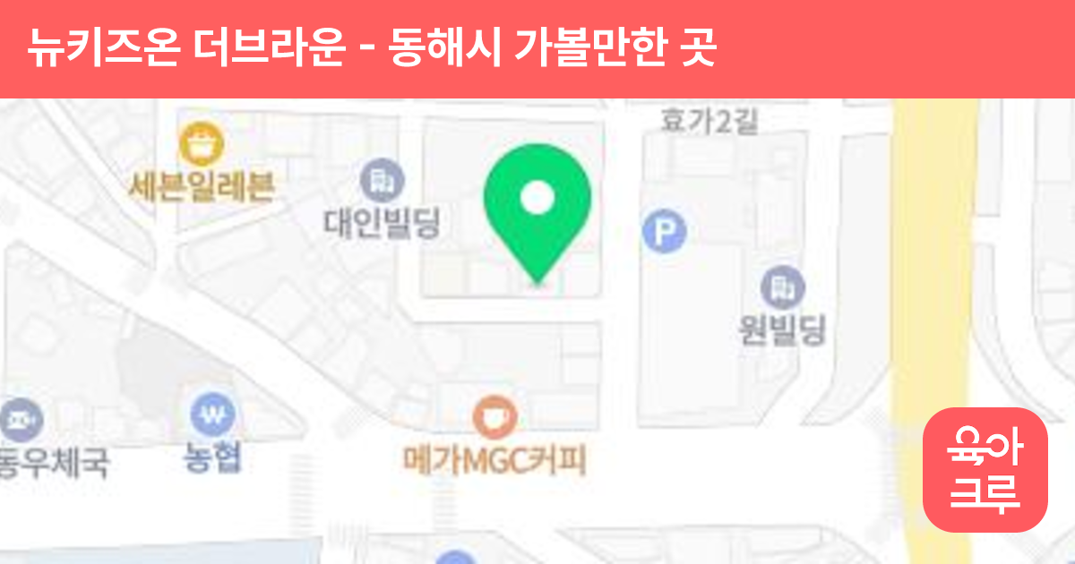 뉴키즈온 더브라운 썸네일